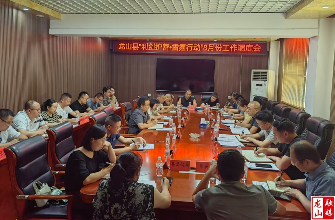 龙山县召开“利剑护蕾·雷霆行动”8月份工作调度会