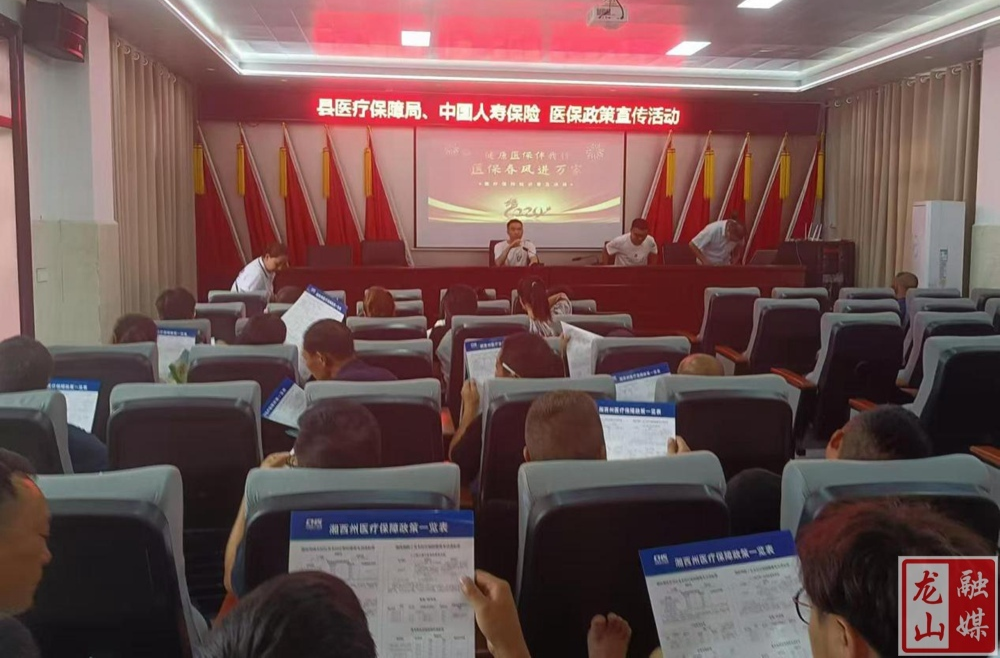 洛塔乡开展“惠民政策进万家 匠心医保永护航”宣传活动