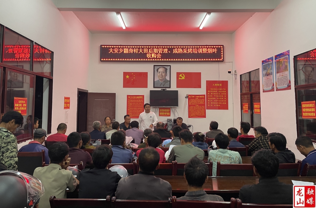 大安乡翻身村召开大田后期管理、成熟采烤培训暨烟叶收购会