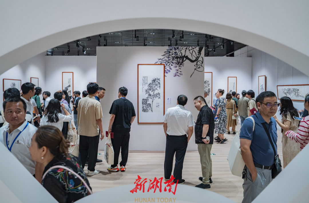 湘人苏高宇，向家乡做一次“成长汇报”——湘籍画家苏高宇作品展开幕仪式暨研讨会侧记