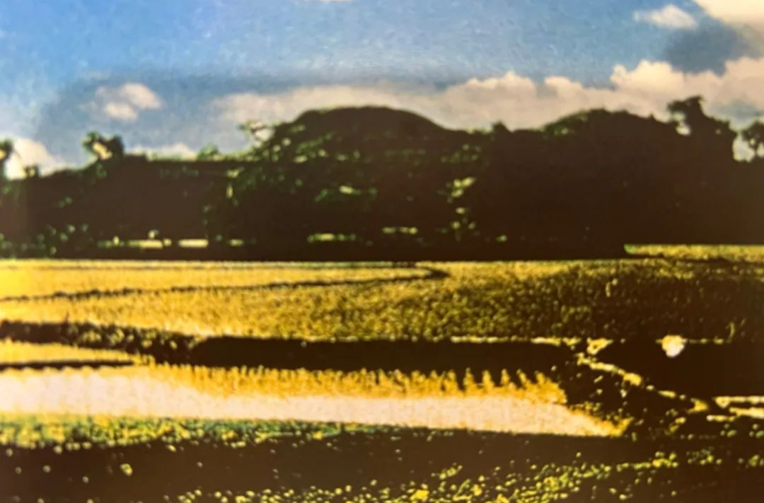 这一家子“炫富”50年，全世界都服气