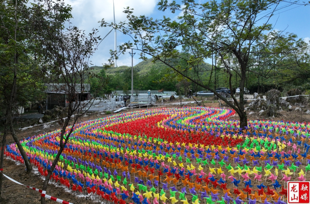 大安乡：10000只七彩风车等客来