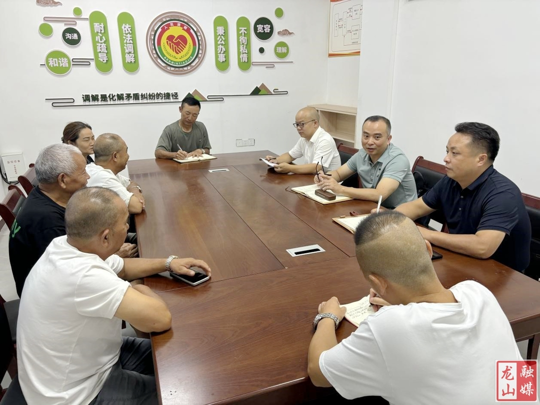 龙江到民安街道调研人大工作