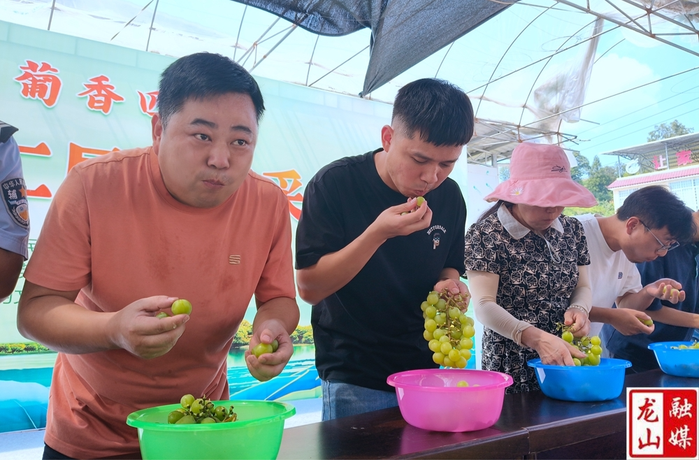 石牌镇第二届葡萄采摘节开幕