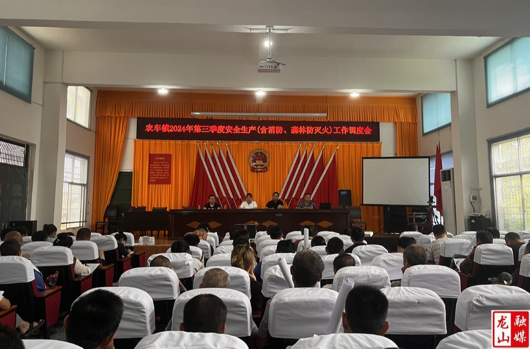 农车镇召开2024年第三季度安全生产工作调度会
