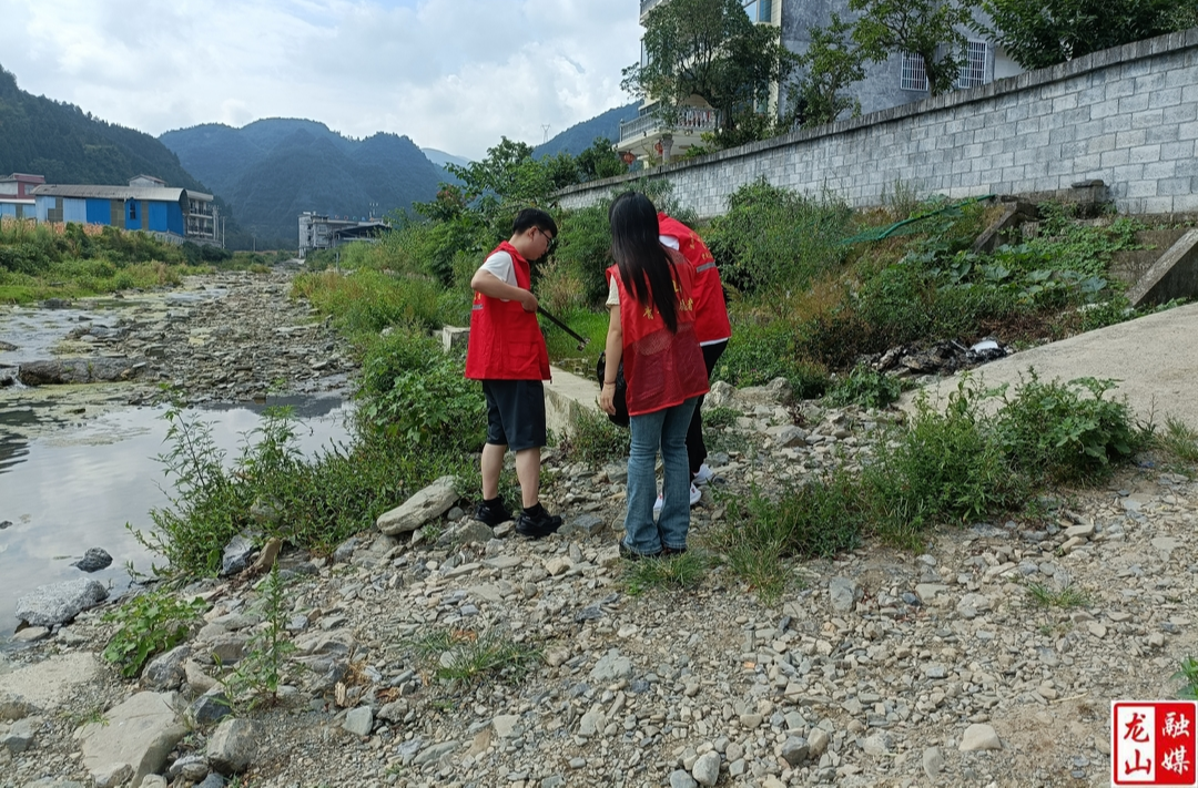 洗洛镇开展“河小青”河道志愿服务活动