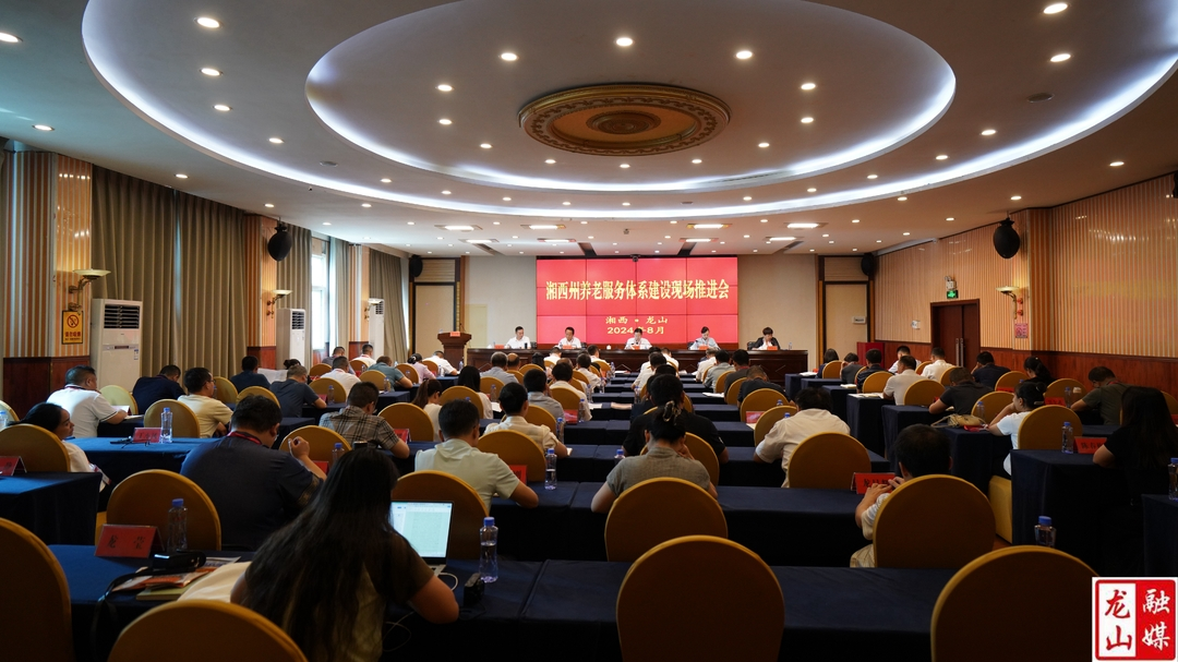 湘西州养老服务体系建设现场推进会在龙山县召开