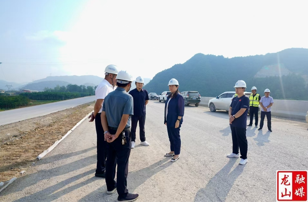 时荣芬到茨岩塘镇调研桑龙高速建设情况
