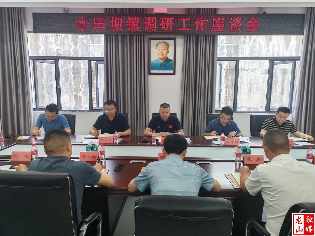 黄勇到水田坝镇调研督导工作