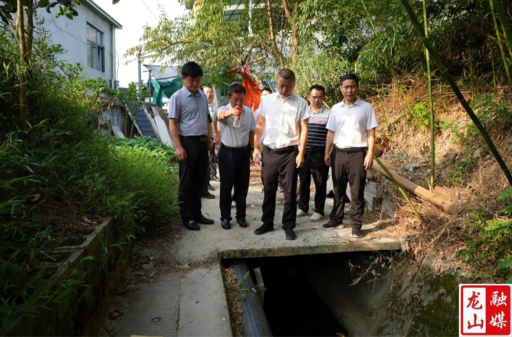 龙山县人大常委会到华塘街道督办代表建议