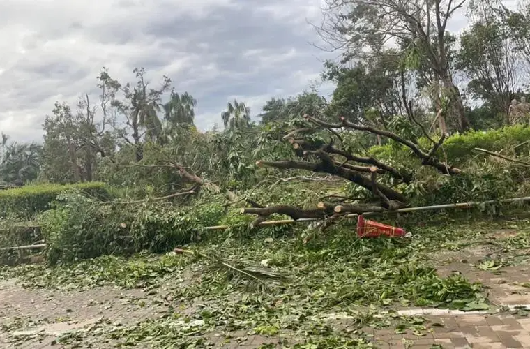 “摩羯”何以成为“最强秋台风”