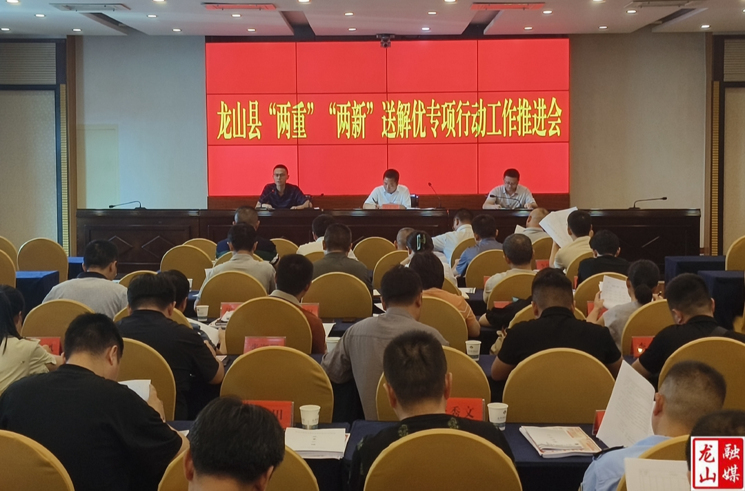 龙山县“两重”“两新”送解优专项行动工作推进会召开
