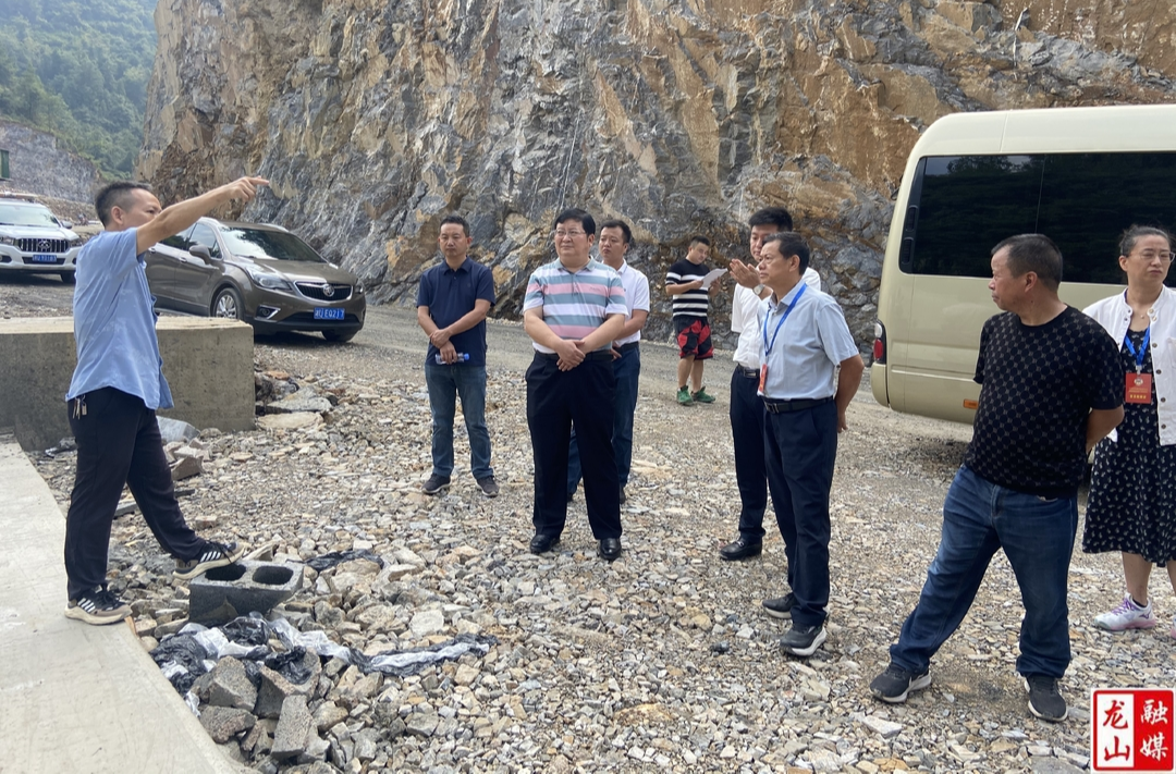 黎新松带领县政协委员开展重点提案督办调研活动