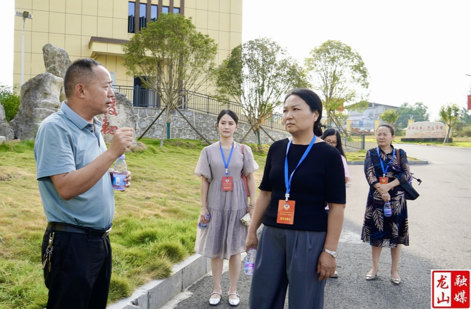 李冬梅带领县政协委员开展重点提案督办调研活动