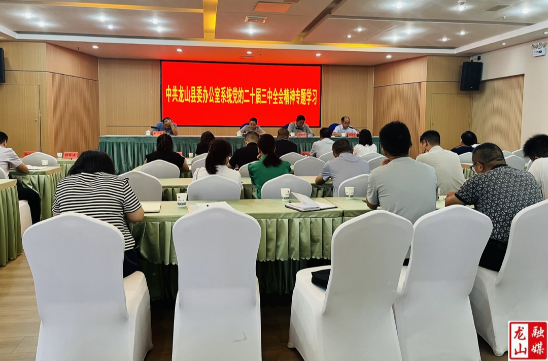 杨甜在县委办公室系统宣讲党的二十届三中全会精神