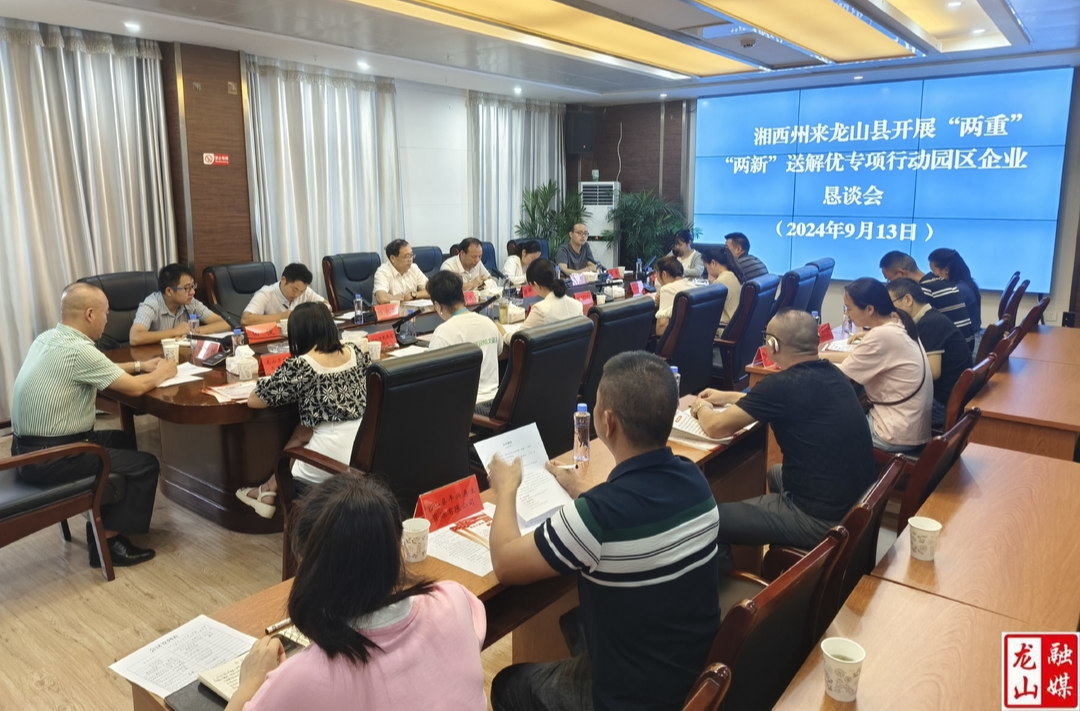 湘西州“两重”“两新”送解优专项行动第四工作组到县工业园区宣讲