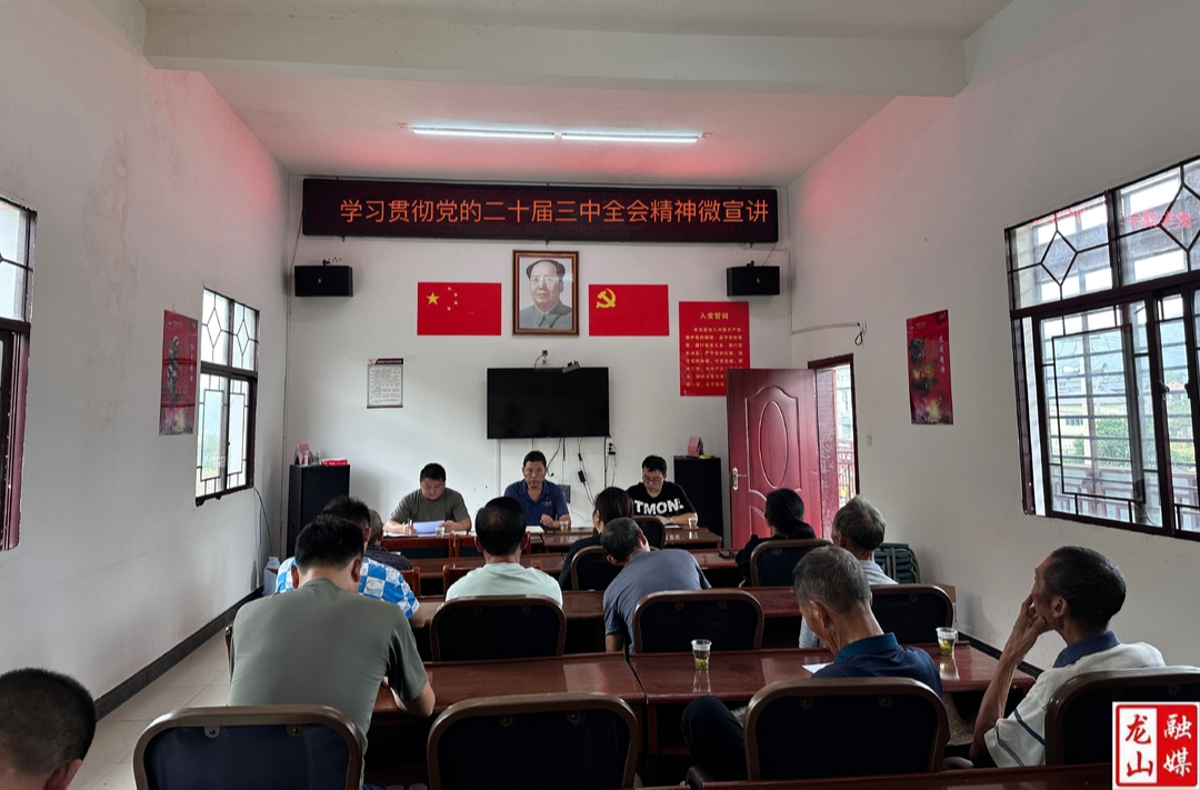 农车镇：党的二十届三中全会精神 “入民心”