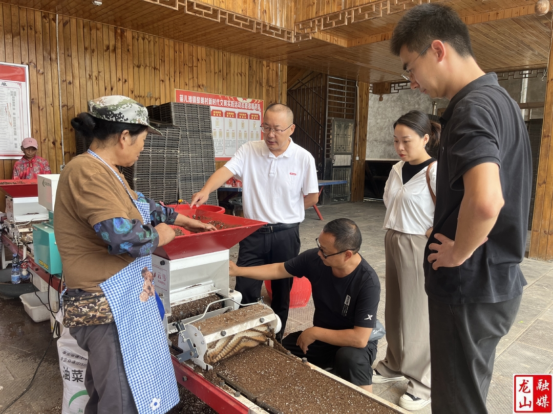 龙山推广油菜机械流水线育苗 省时省力提效