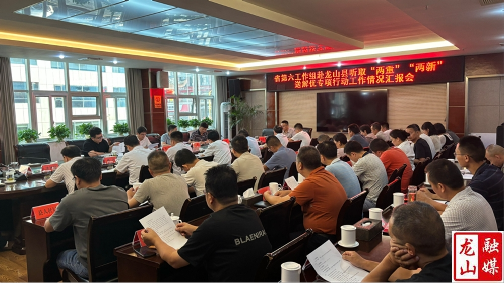 湖南省第六工作组到龙山县召开“两重”“两新”送解优专项行动工作情况汇报会