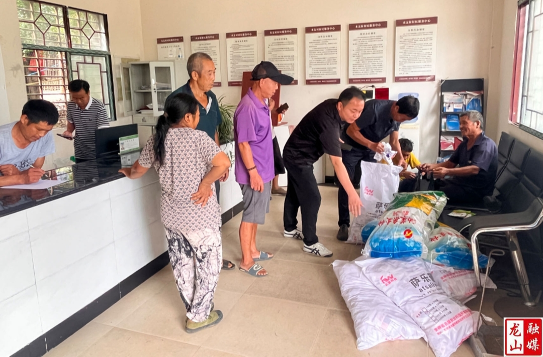 洗车河镇：免费发放油菜种 助农增收“油”保障