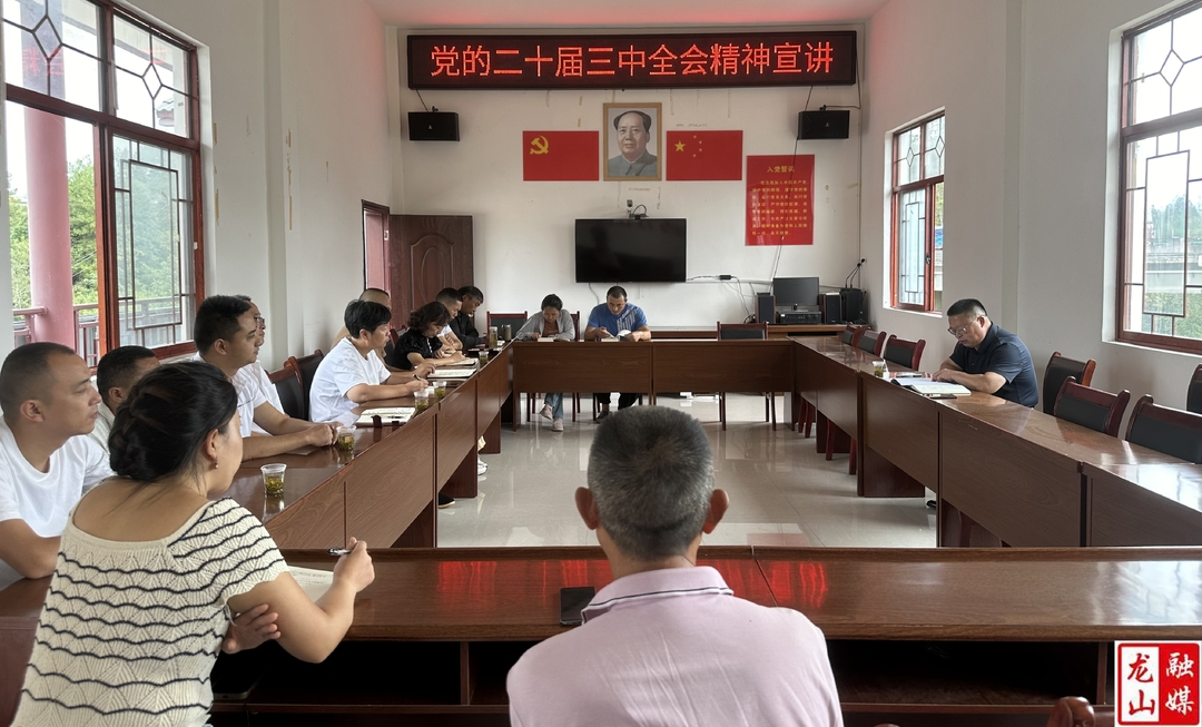 田世忠到苦竹社区宣讲党的二十届三中全会精神