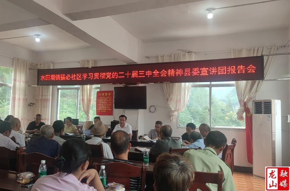 水田坝镇宣讲团深入村（社区）宣讲党的二十届三中全会精神