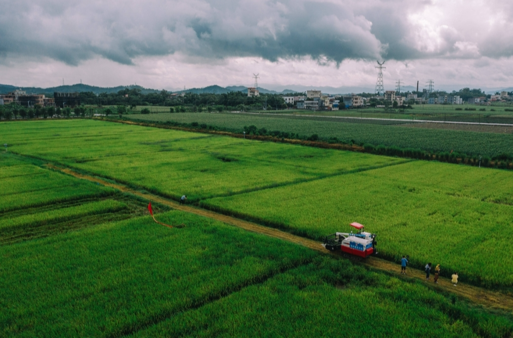两办发文：加强耕地保护提升耕地质量完善占补平衡