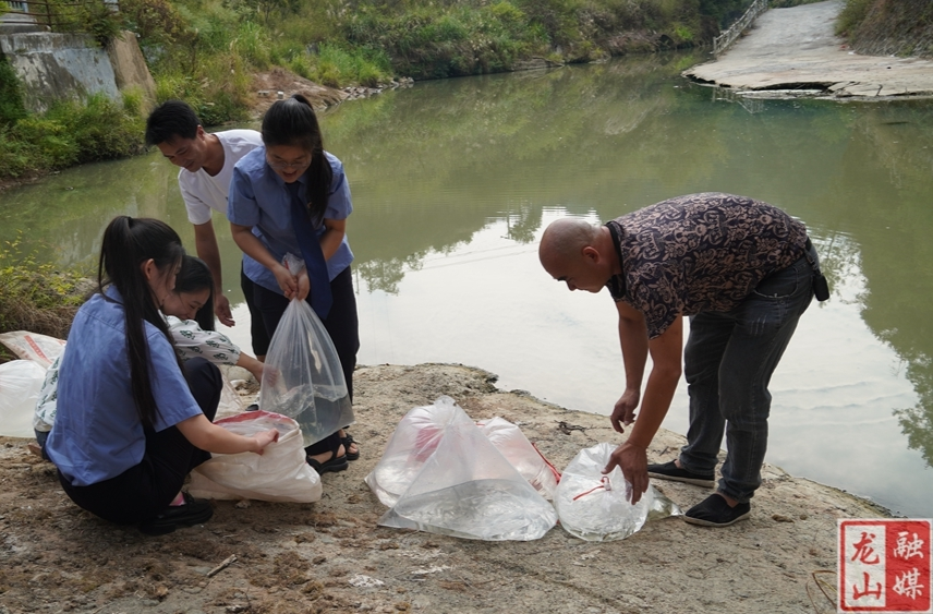 龙山县开展生态损害赔偿增殖放流活动