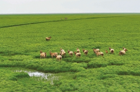 奋进强国路 阔步新征程｜青山绿水，惠泽三湘——新中国成立75周年湖南生态文明建设成就综述