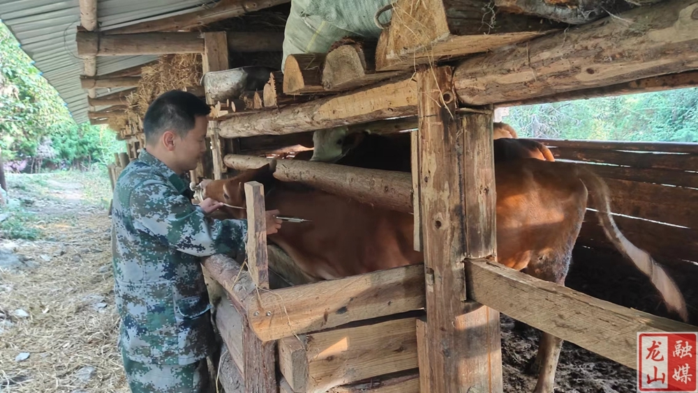 农车镇：做好秋季防疫工作 筑牢畜禽安全屏障