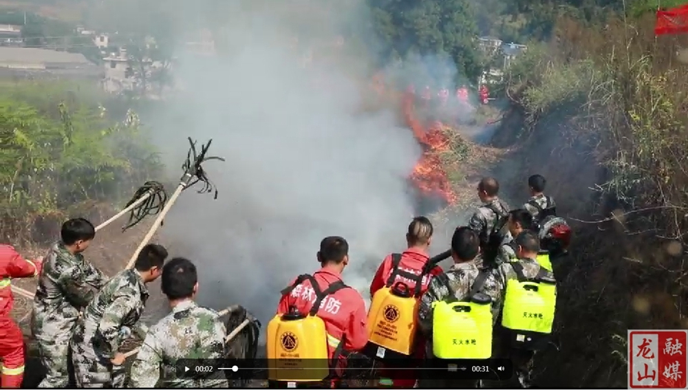 龙山县开展2024年森林防灭火应急演练