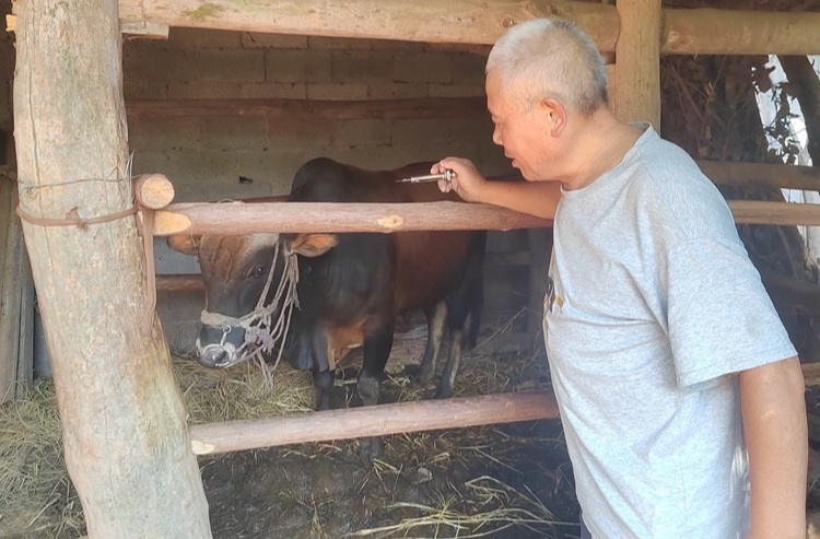 兴隆街道开展秋季动物防疫工作