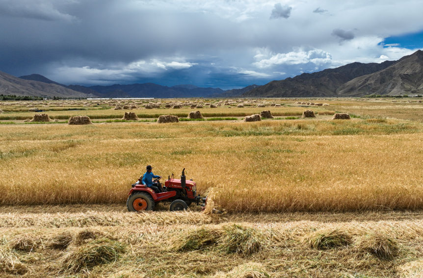奋进强国路 阔步新征程｜向着农业强国加速迈进——新中国成立75周年“三农”发展成就综述