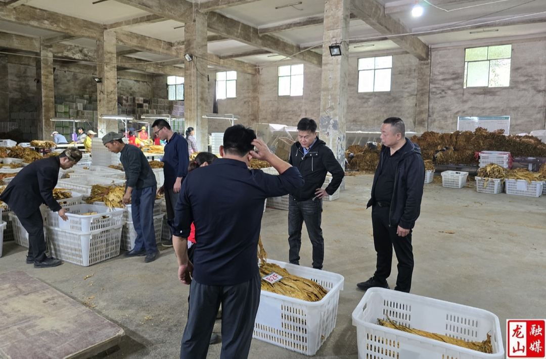 里耶镇大力做好烤烟产业文章