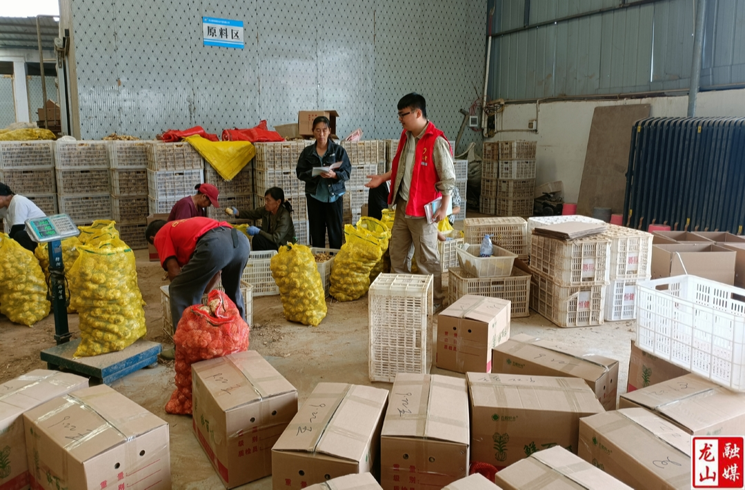 洗洛镇“两重”“两新”送解优专项行动政策宣讲进社区