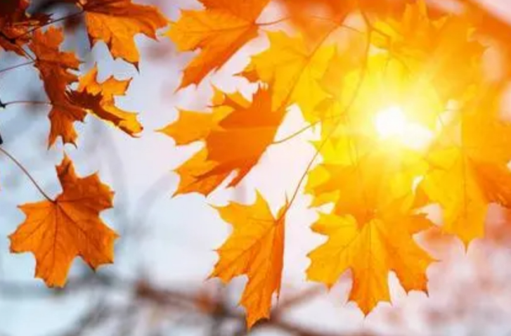 30℃又要回来了！11日前后，全国大部开启升温模式