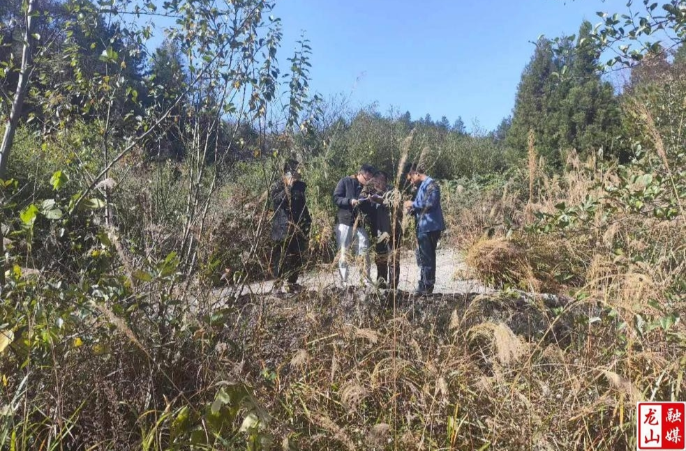 龙山县启动自然保护区生态问题监督行动