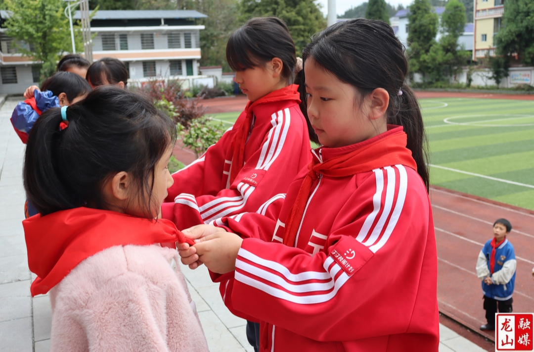 大安小学举行少先队分批入队仪式