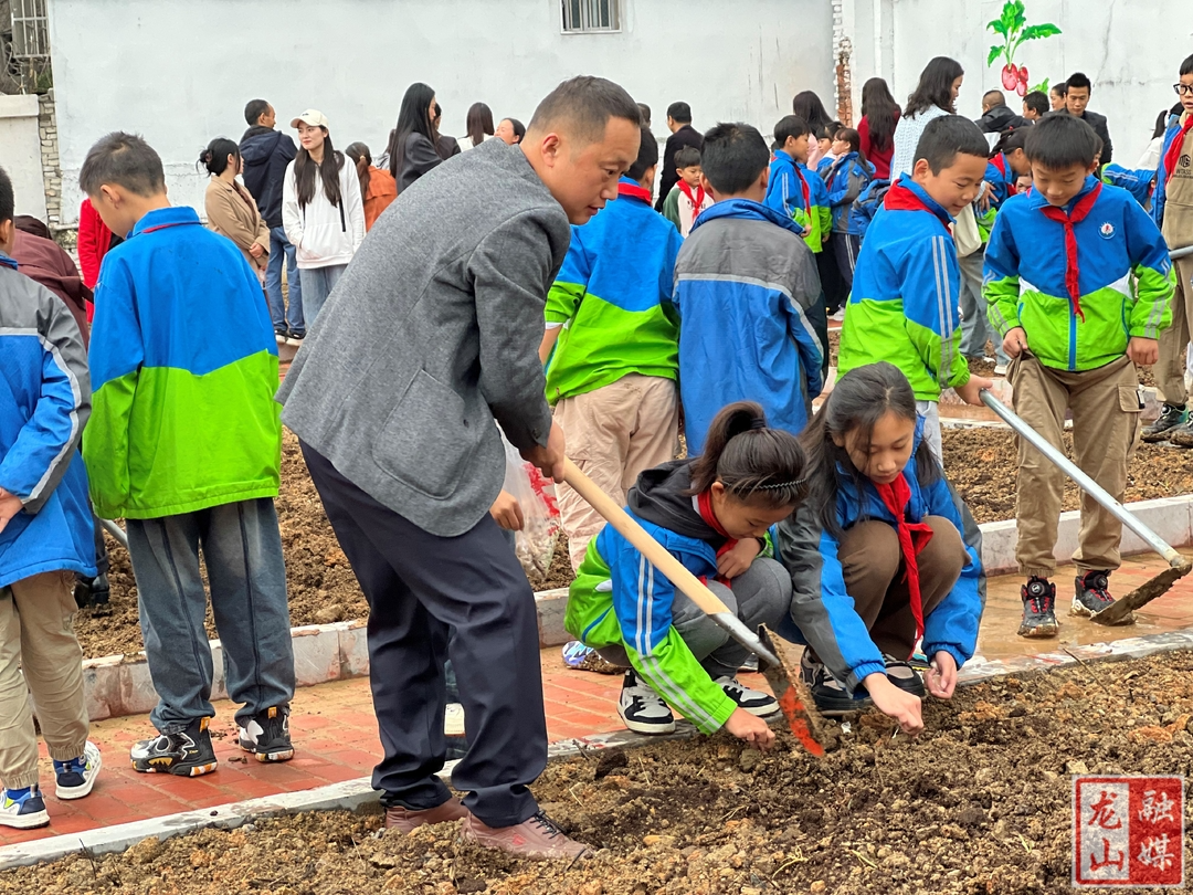 龙山六小：深化劳动教育促学生成长