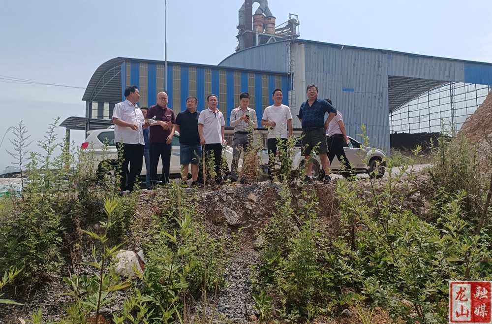 龙山县自然资源局开展矿山生态环境专项检查