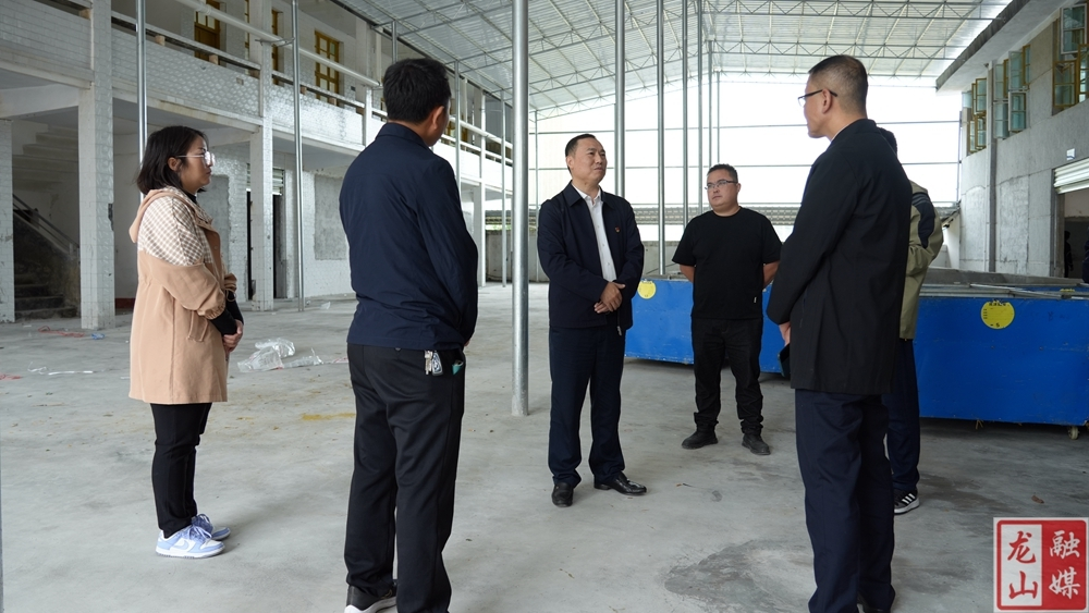 周胜益到茨岩塘镇、茅坪乡调研乡村振兴等工作