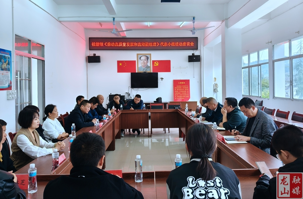 龙山县人大代表桂塘小组开展“推动高质量发展和高效能治理”活动