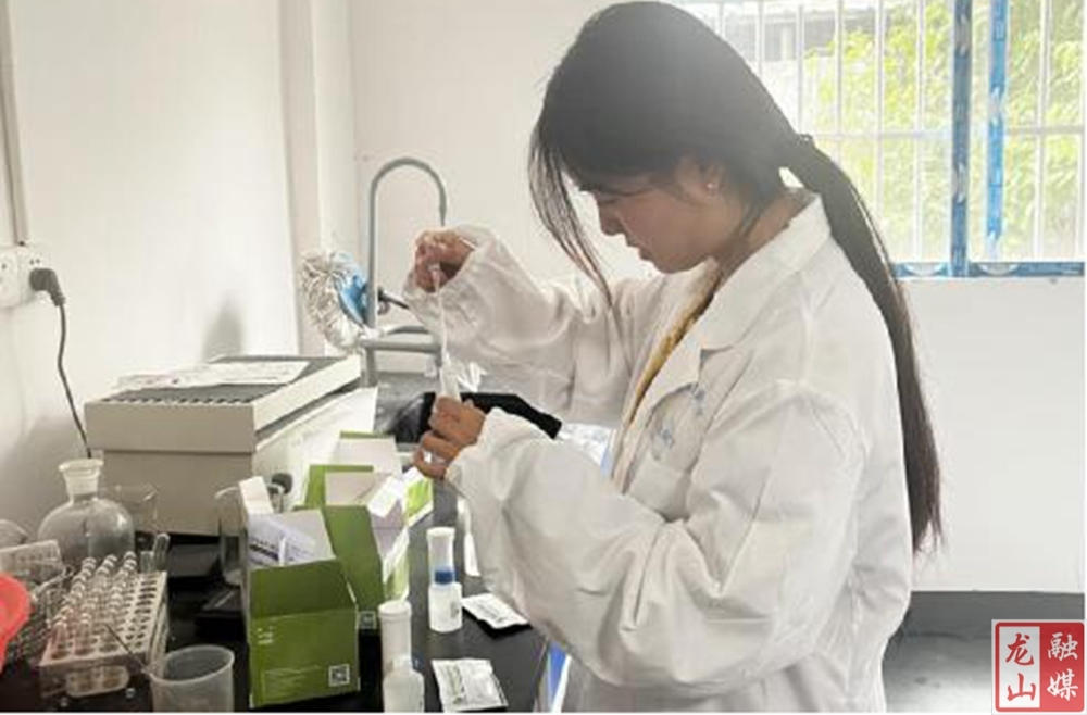 苗儿滩镇农产品质量检测守护舌尖上的安全