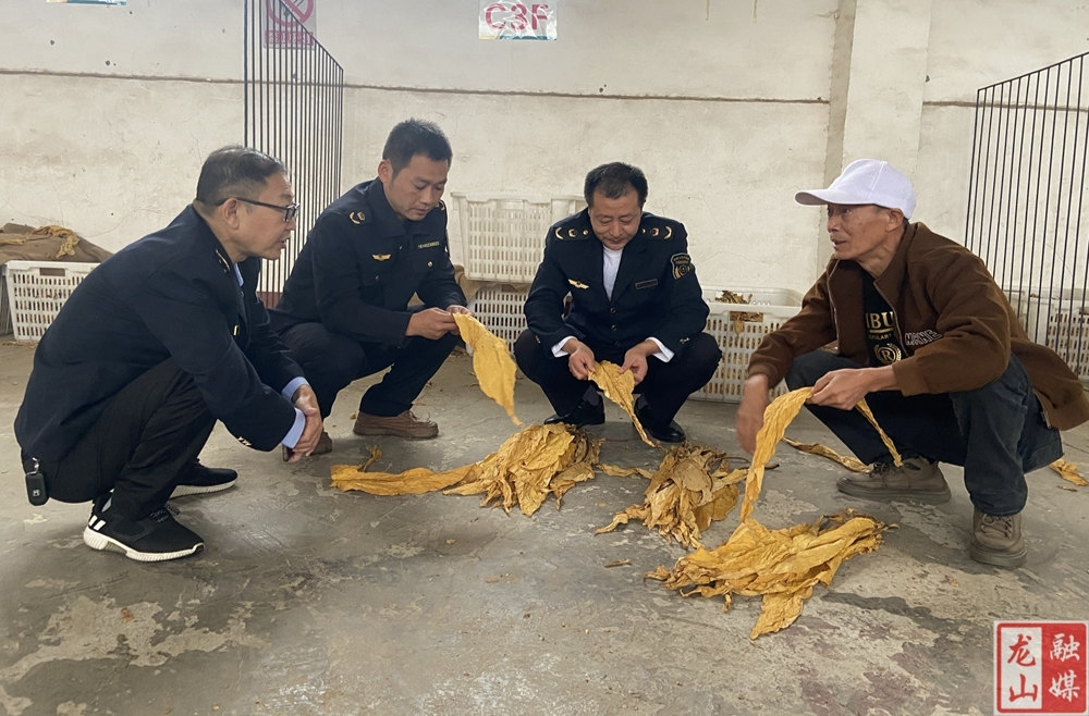 龙山强化烟叶收购监督保障烟农利益