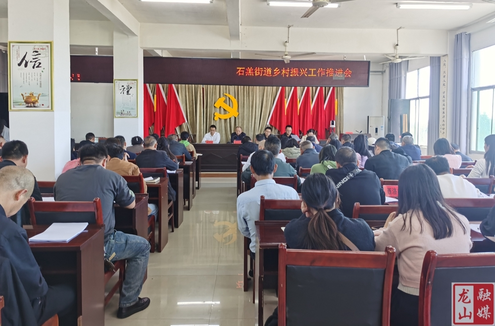 石羔街道召开乡村振兴工作推进会