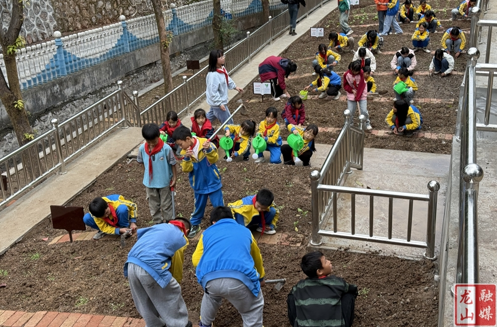龙山三小师生“励耕园”体验劳动乐趣