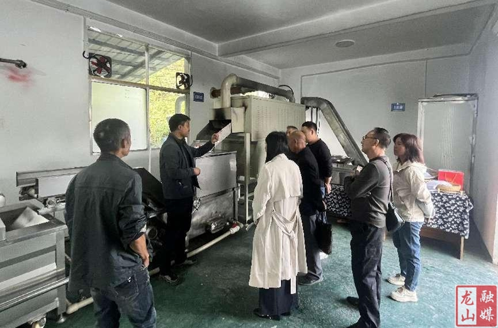 龙山县2024年创业带动就业优秀创业主体评选推荐活动圆满收官