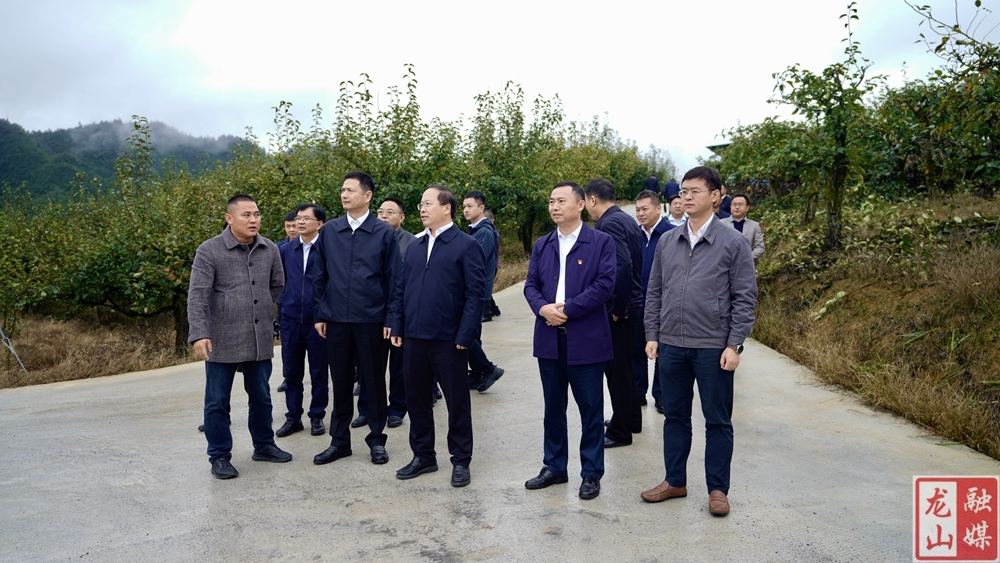 肖正波率队到龙山县调研乡村振兴对口帮扶工作