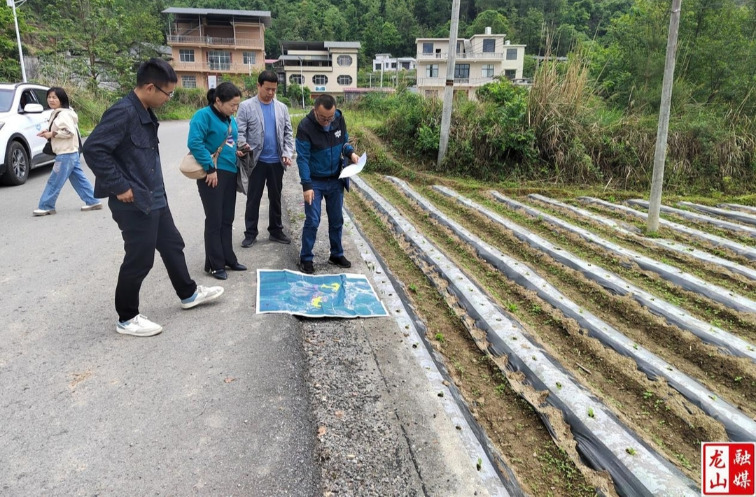 利剑行动：县农业农村局多举措加强耕地管控