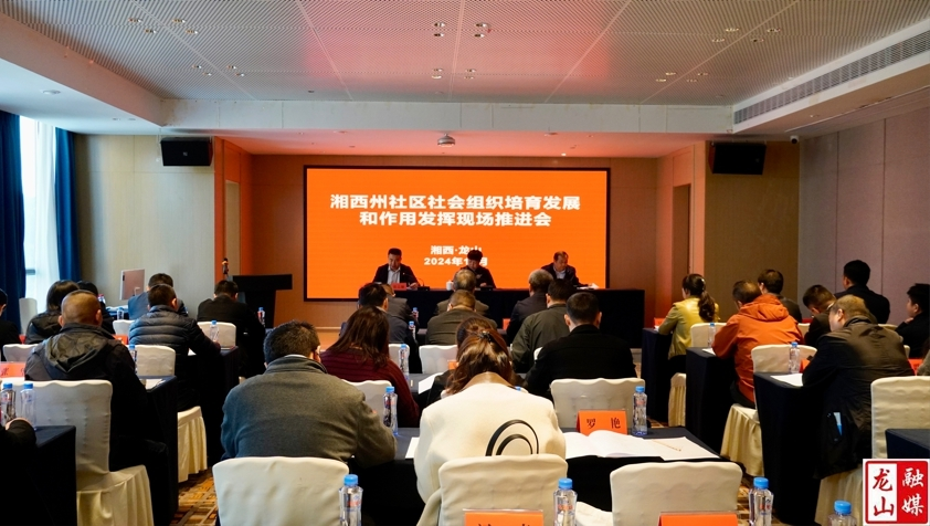 全州社区社会组织培育发展和作用发挥现场推进会在龙山召开